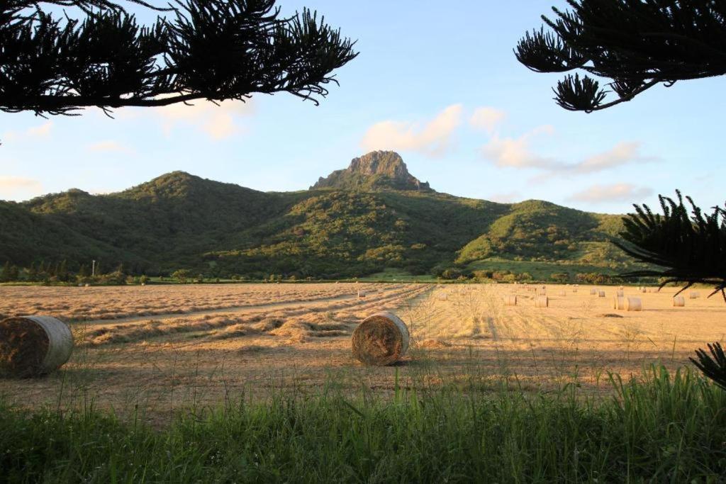 Apartamento Island On The Sea Kenting Exterior foto